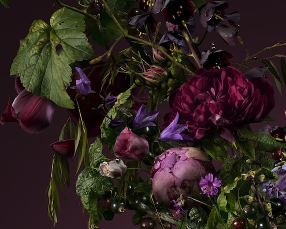 Bas Meeuws, L'Ombre, 2019