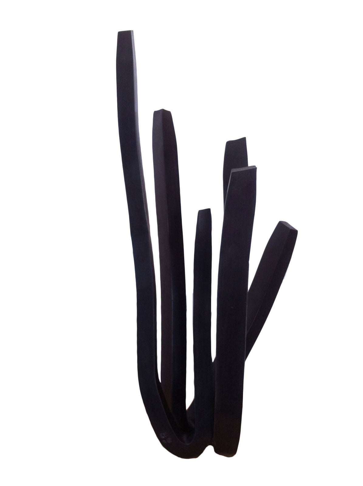 Etienne Viard, Vegetal