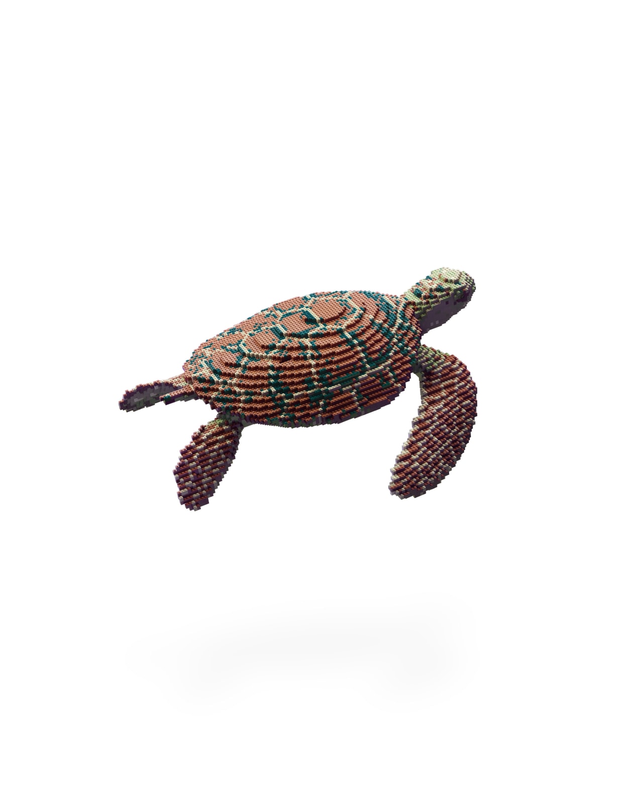 Dean West & Nathan Sawaya, Hawksbill Turtle, 2019