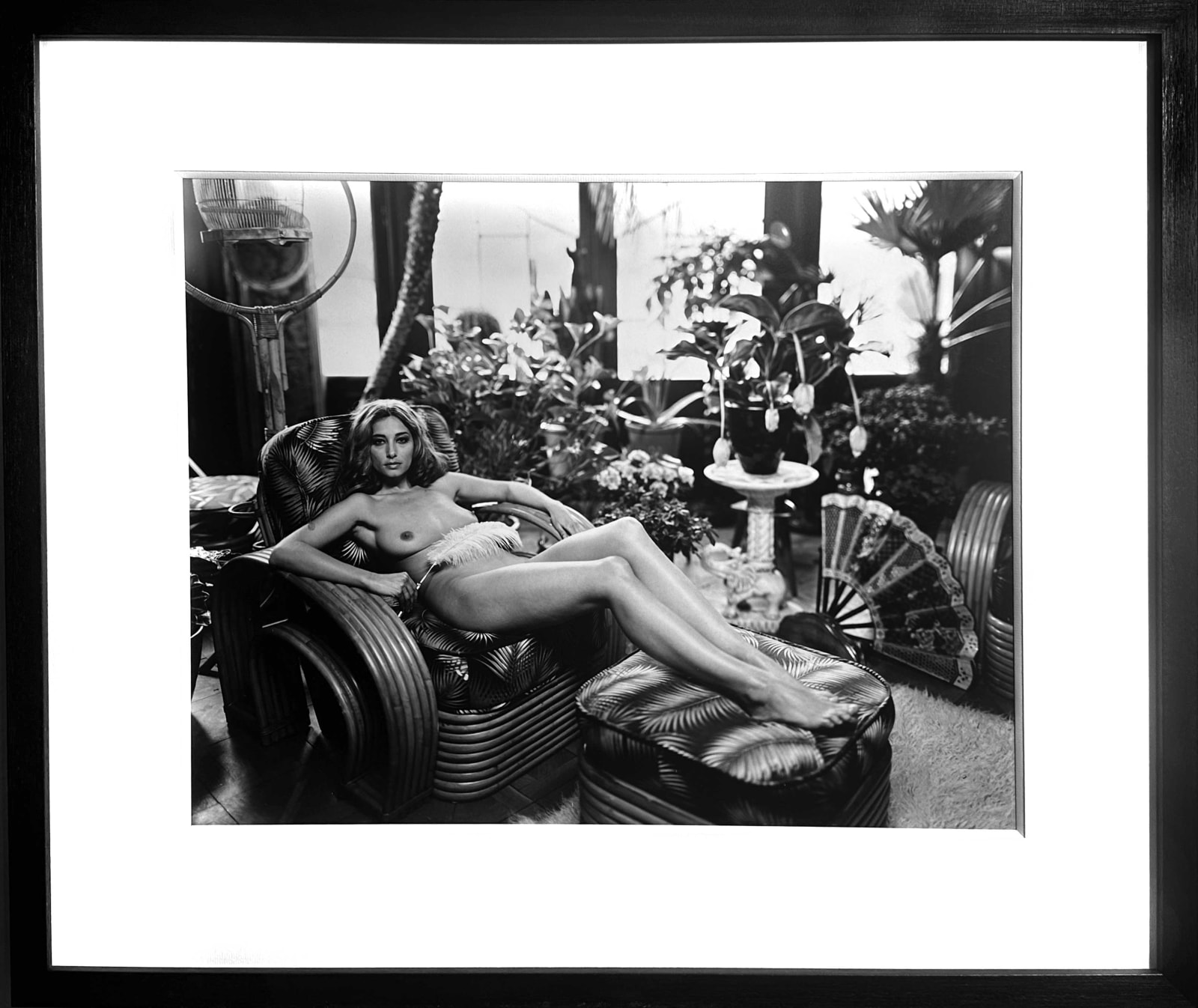 Marc Lagrange, Les Plumes, Antwerp, 2009