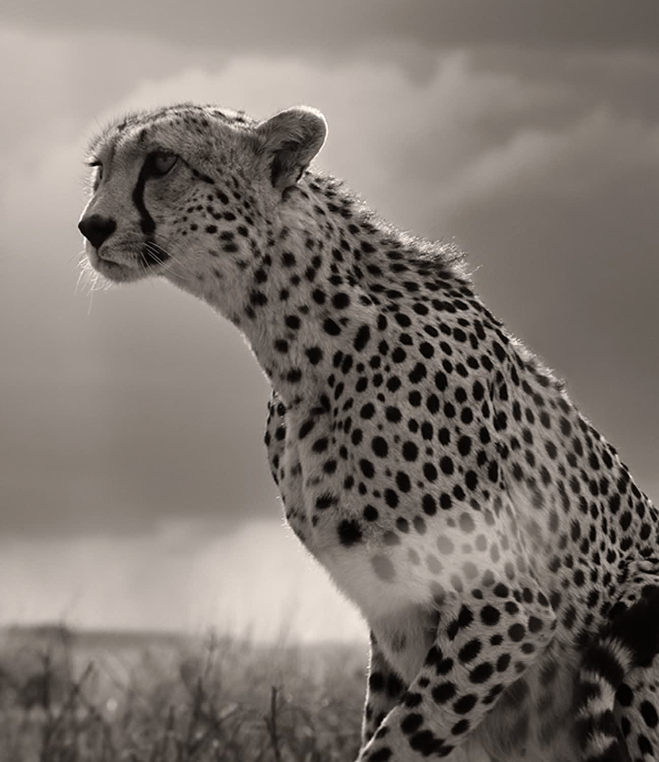 Joachim Schmeisser, On the Leap, Tanzania, 2022
