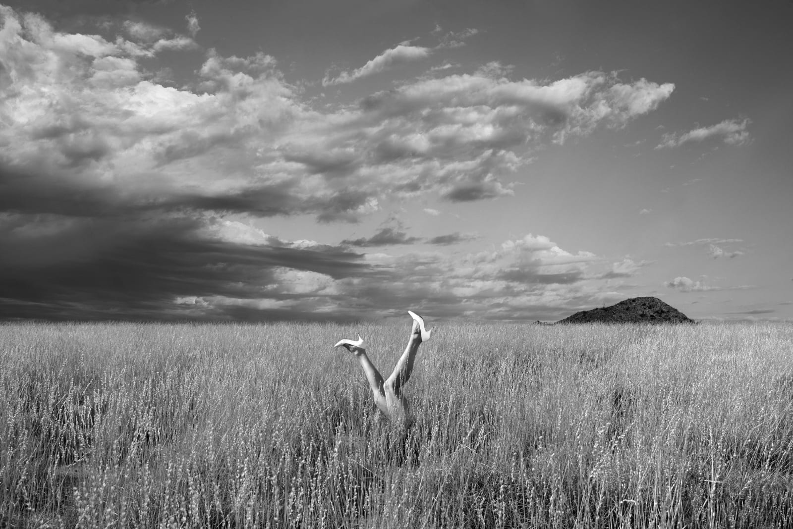 Astrid Verhoef, Field, 2017
