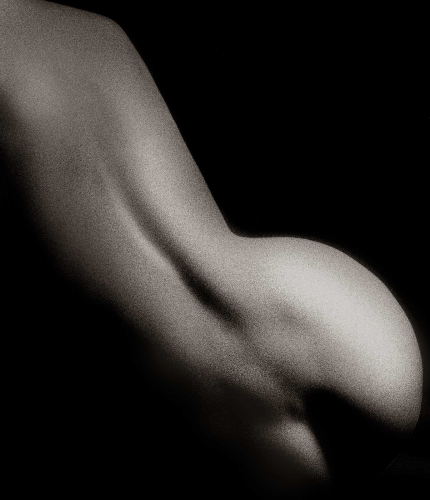Robert Farber, Back, 1984
