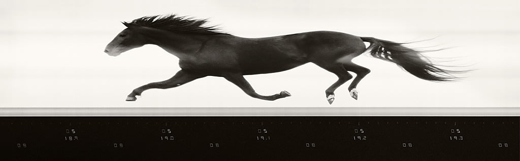 Tim Flach, Photofinish Camera Stretched, 2008