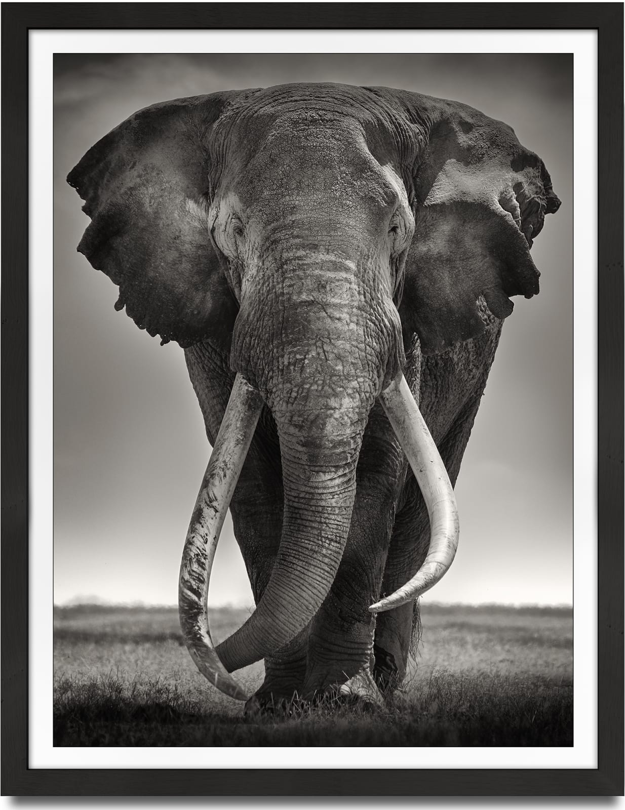 Joachim Schmeisser, Preserver of Peace, Kenya, 2019