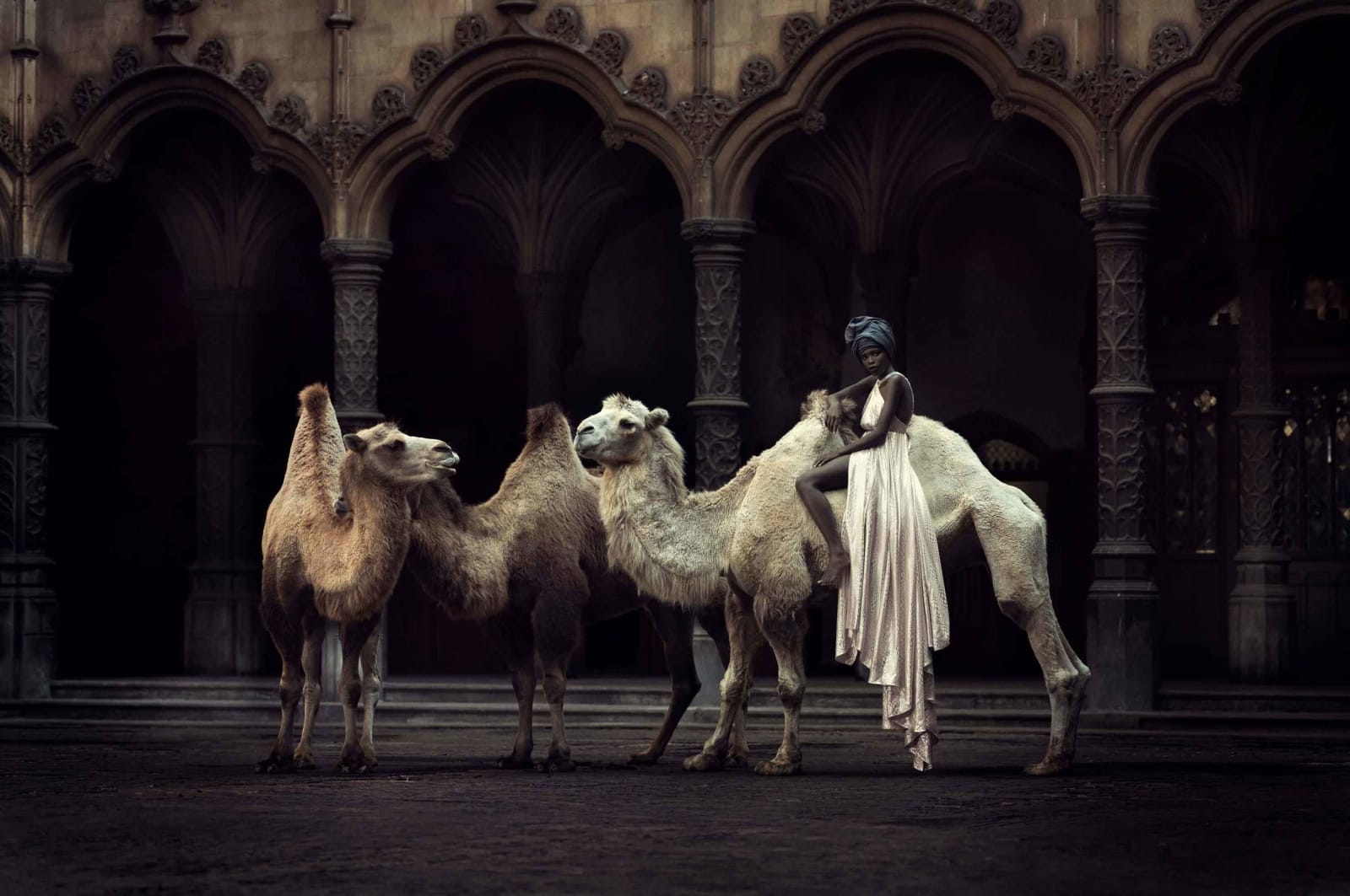 Marc Lagrange, The Straw that Broke the Camel's Back - Color Version, 2014