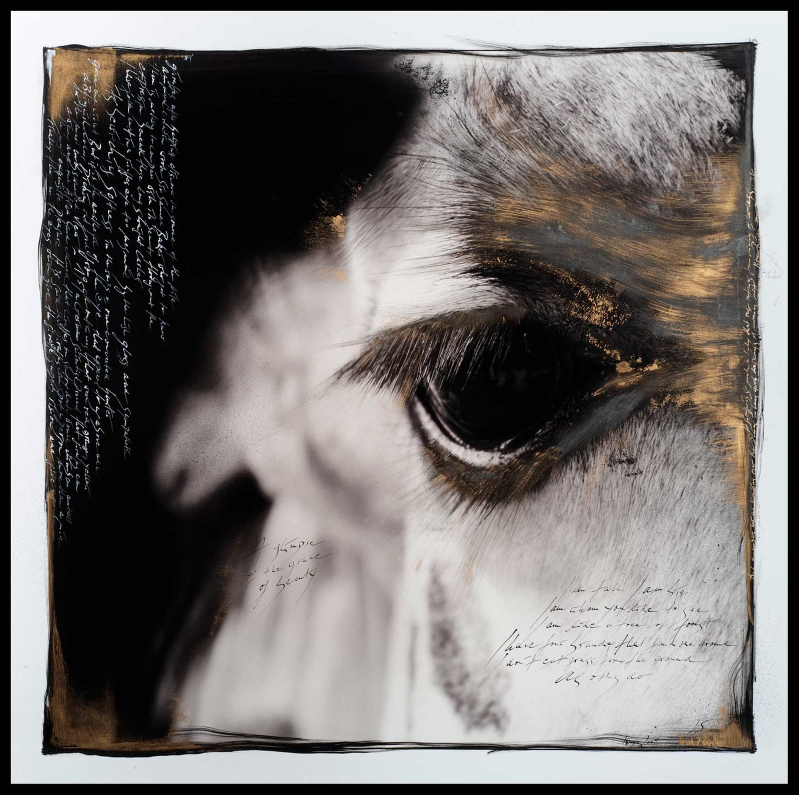 Joachim Schmeisser, Giraffe's Eye, 2020