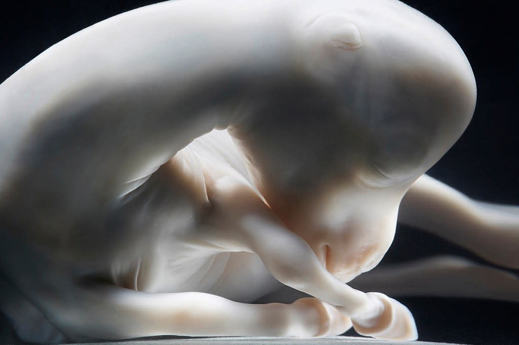 Tim Flach, Day 85, 2008