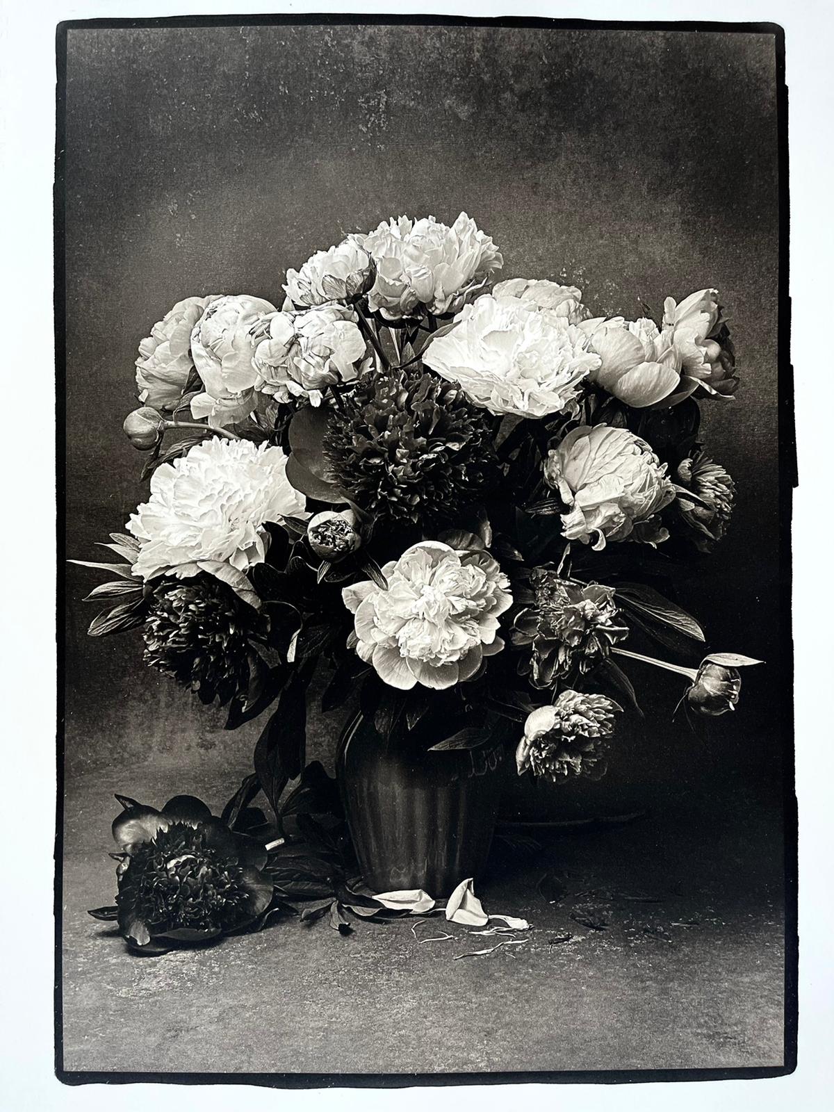 Jan C. Schlegel, Peonies, 2021