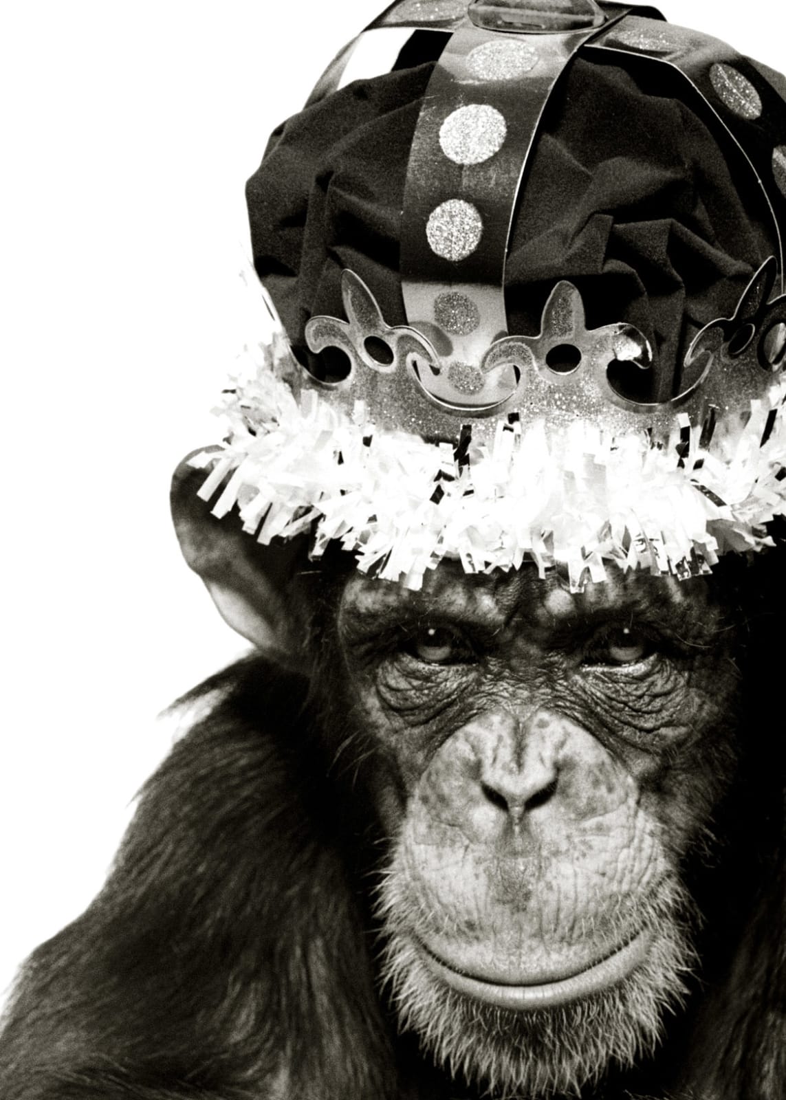 Albert Watson, King Casey, NYC, 1992