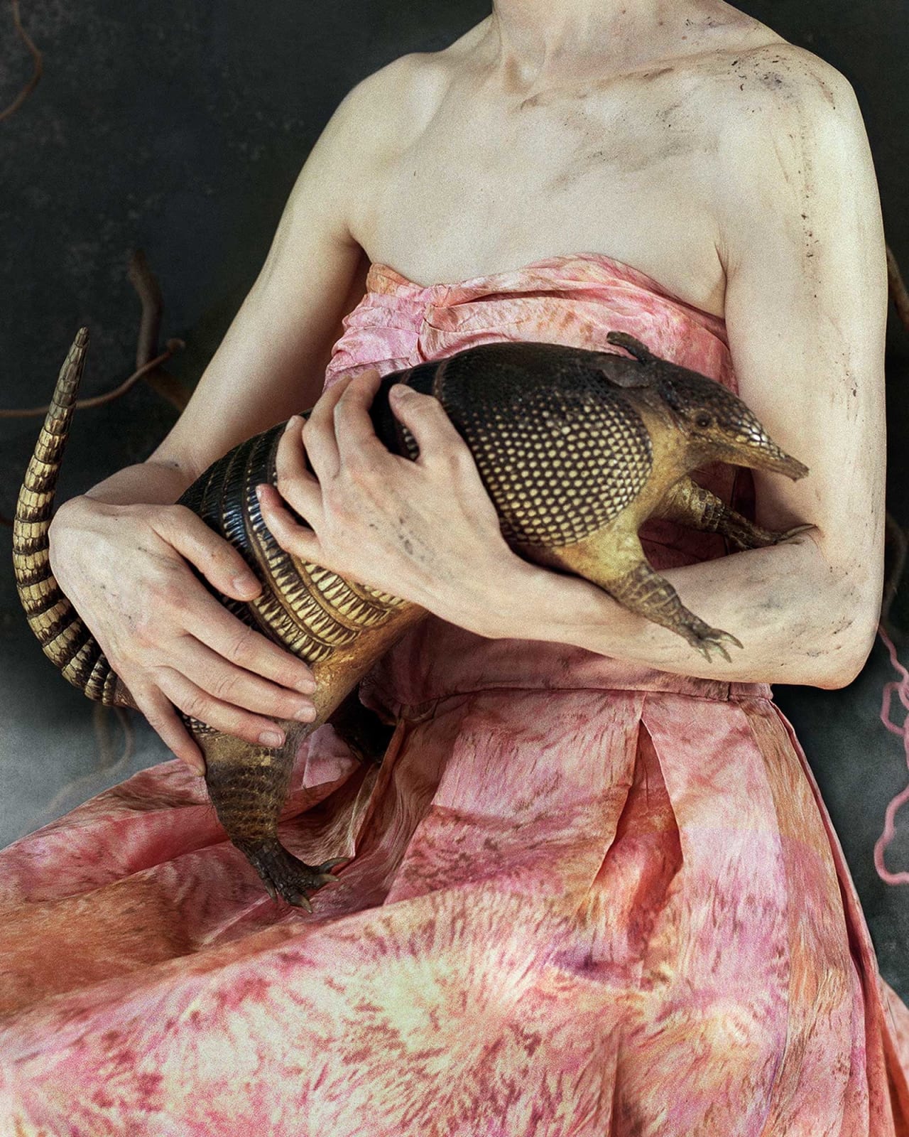 Vee Speers, Untitled #14, 2020