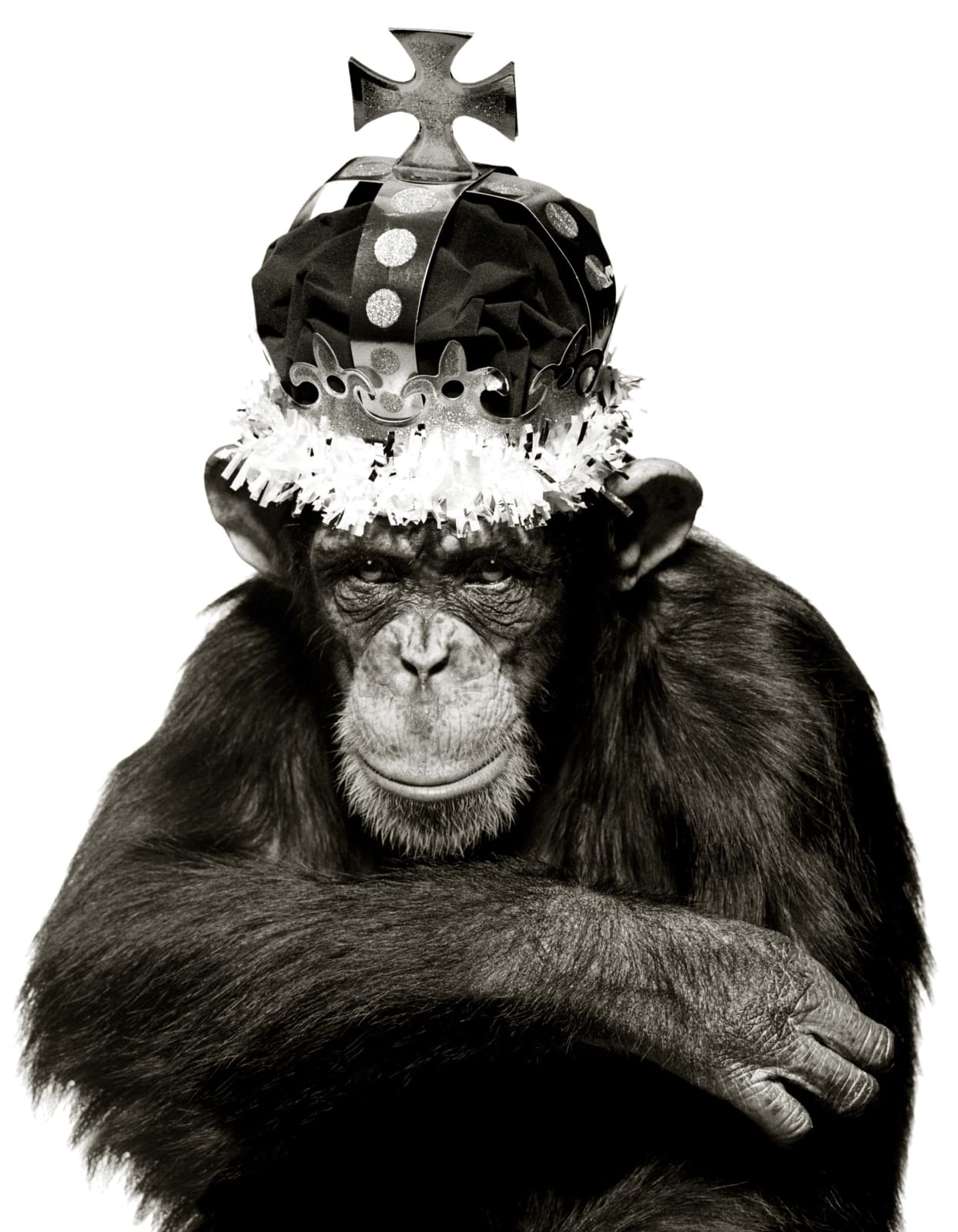 Albert Watson, King Casey, NYC, 1992