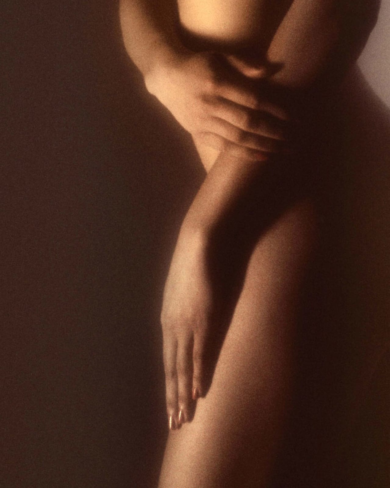 Robert Farber, Farber Nudes Cover, 1981