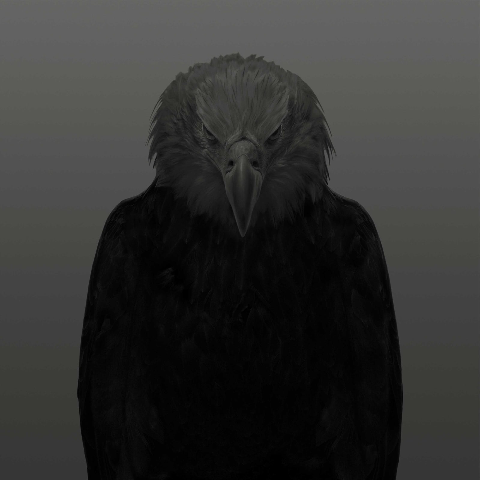 Dean West, Bald Eagle #1, 2025
