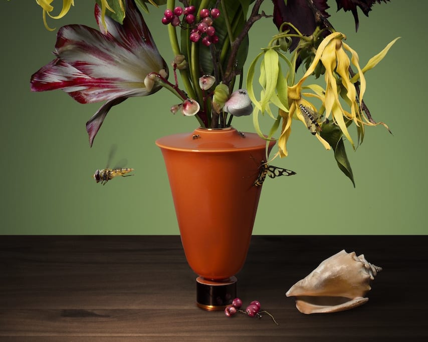 Bas Meeuws, Mohéli, 2019