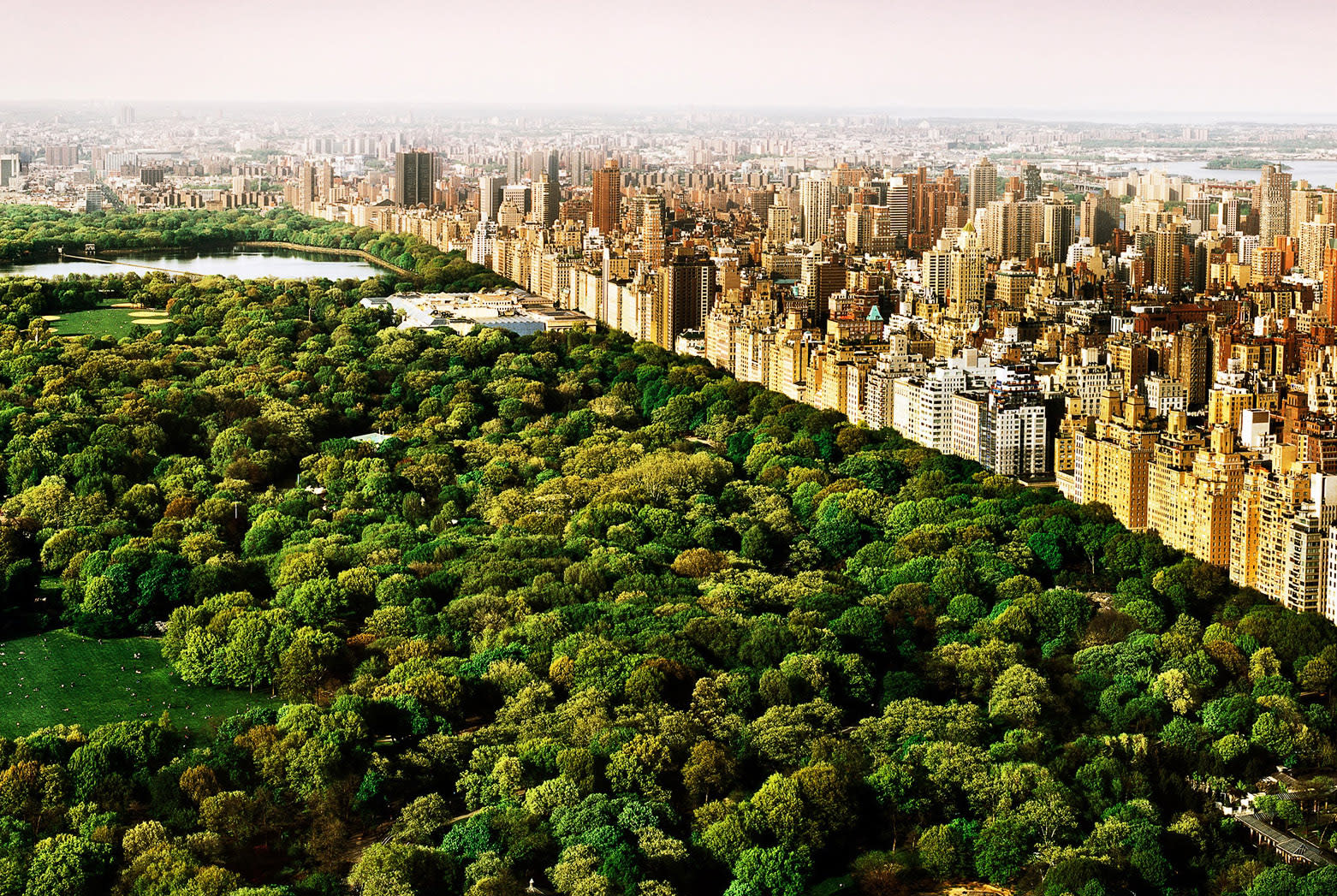 David Drebin, Dreams of Central Park, Diamond Dust, 2020