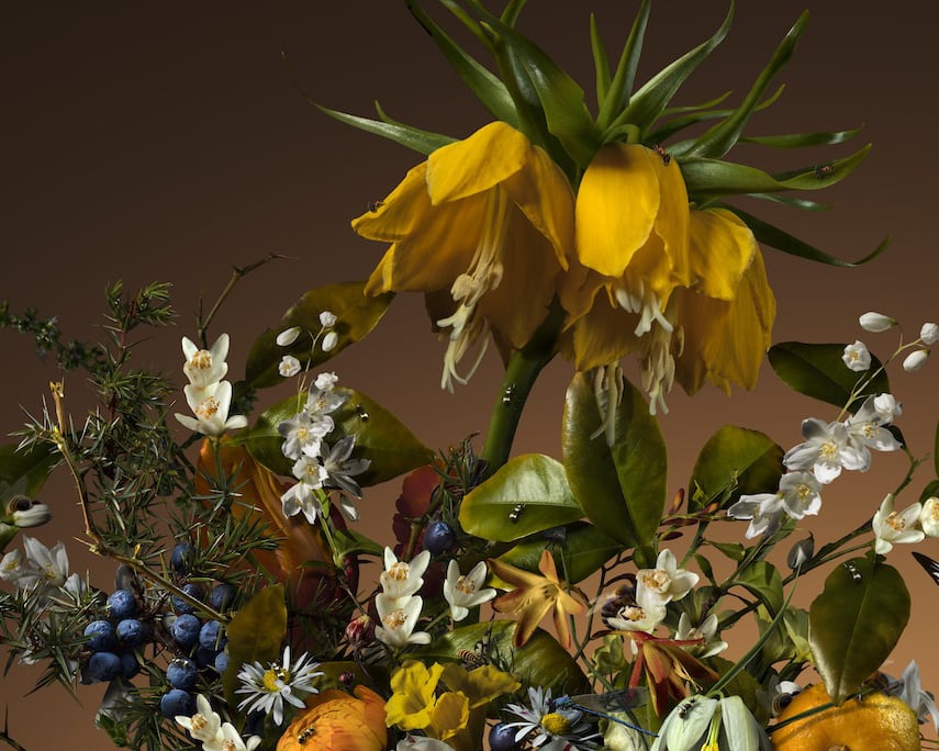 Bas Meeuws, Des Sens, 2019