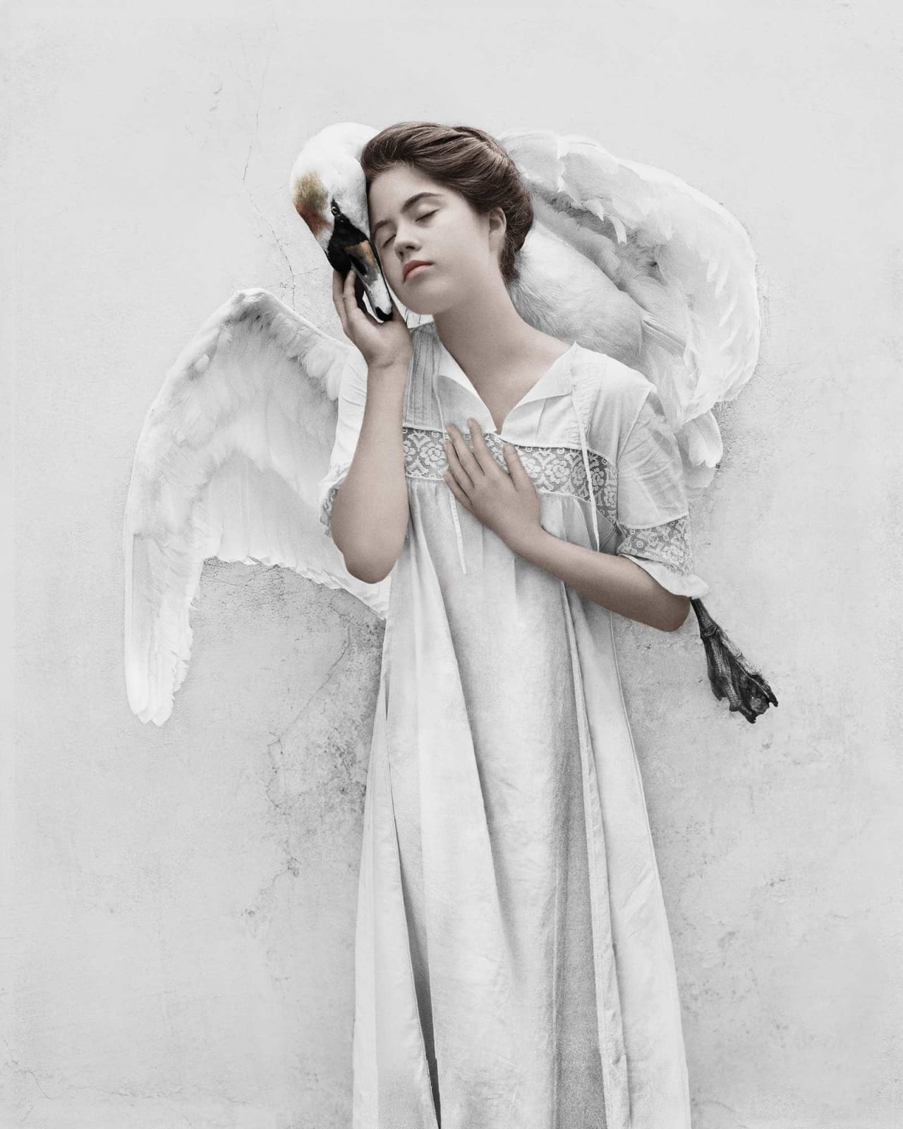 Vee Speers, Untitled #12, 2012