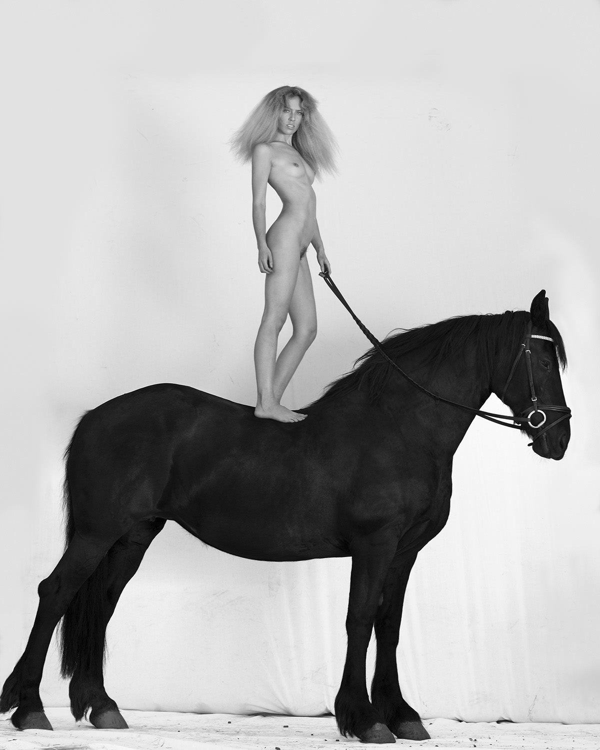 Sylvie Blum, The Rocking Horse, 2017