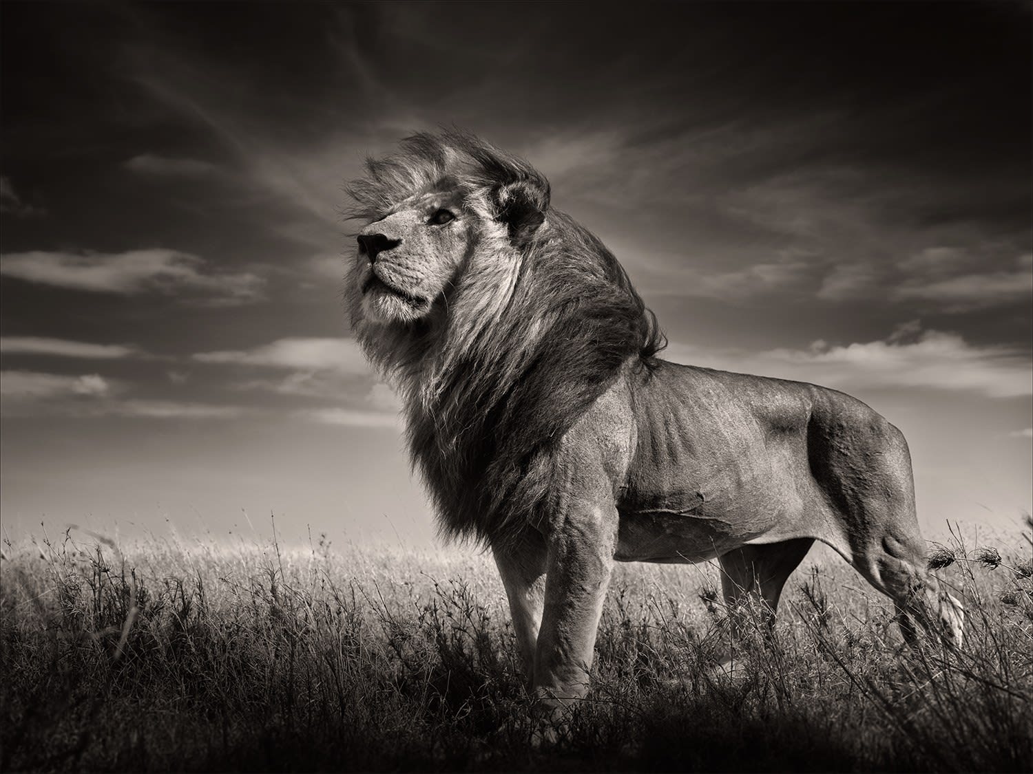 Joachim Schmeisser, Just Me, Tanzania, 2023