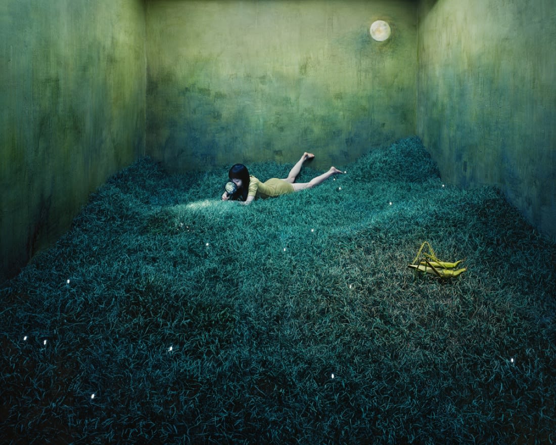 JeeYoung Lee, Treasure Hunt, 2010