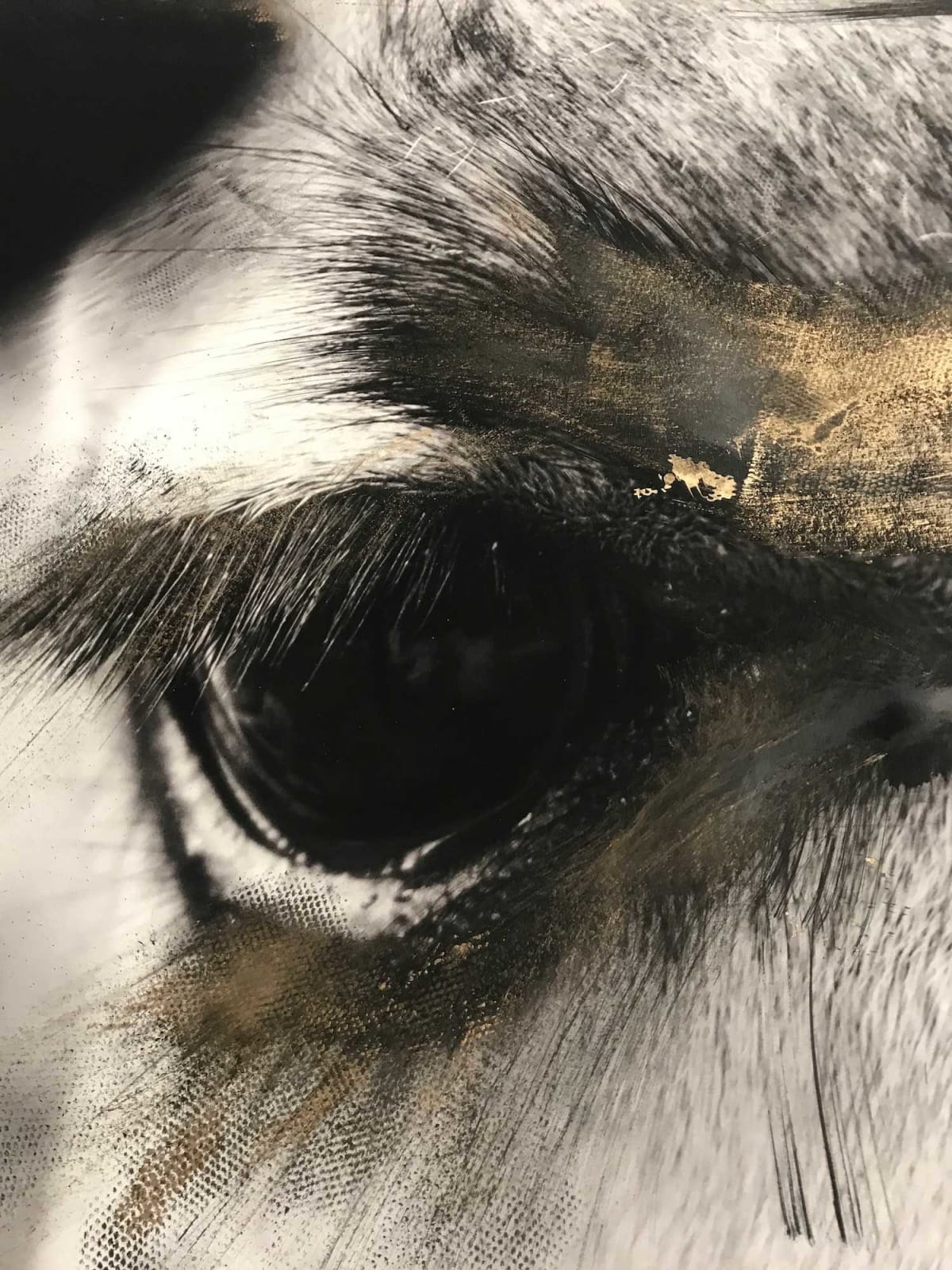 Joachim Schmeisser, Giraffe's Eye, 2020