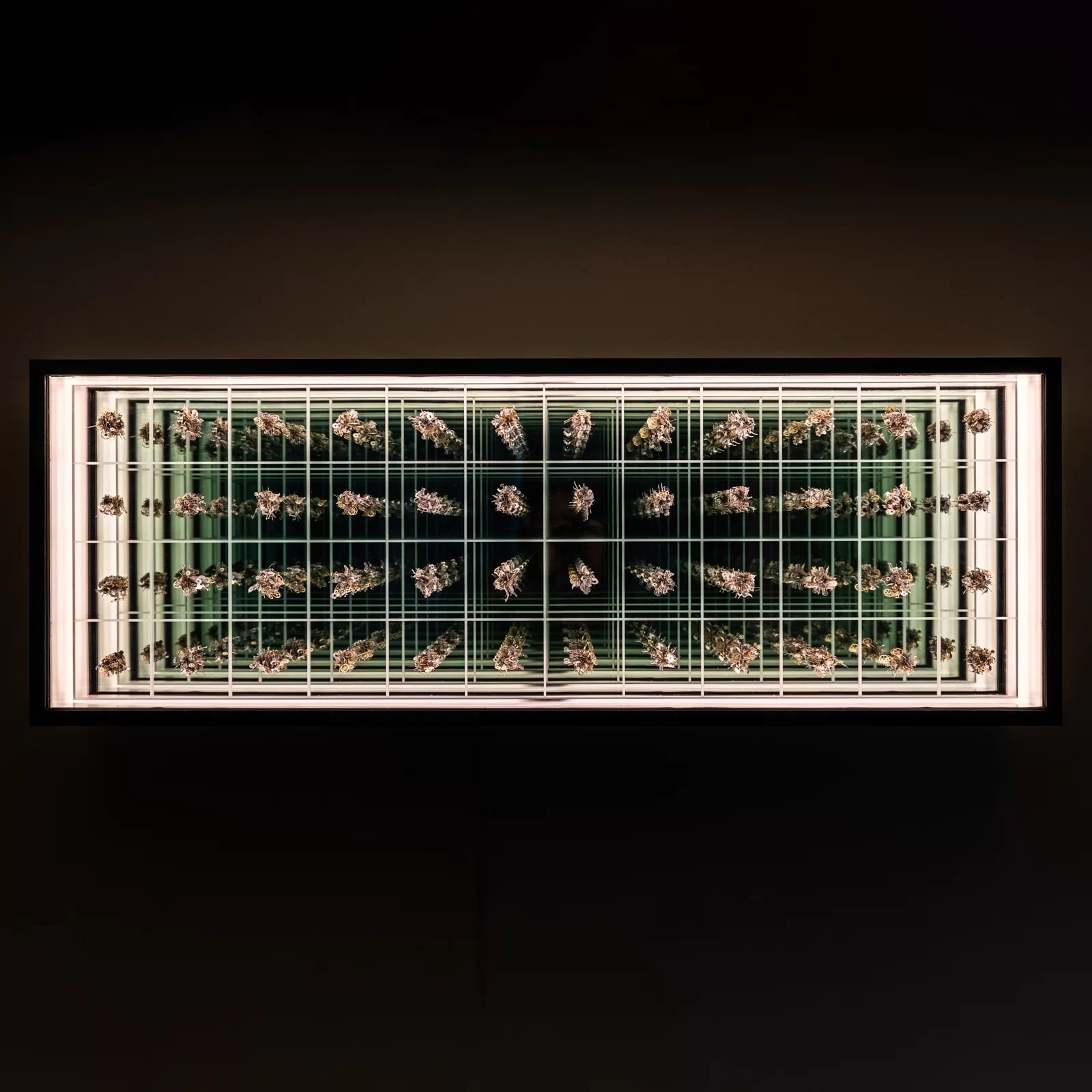 Quentin Carnaille, Infini II