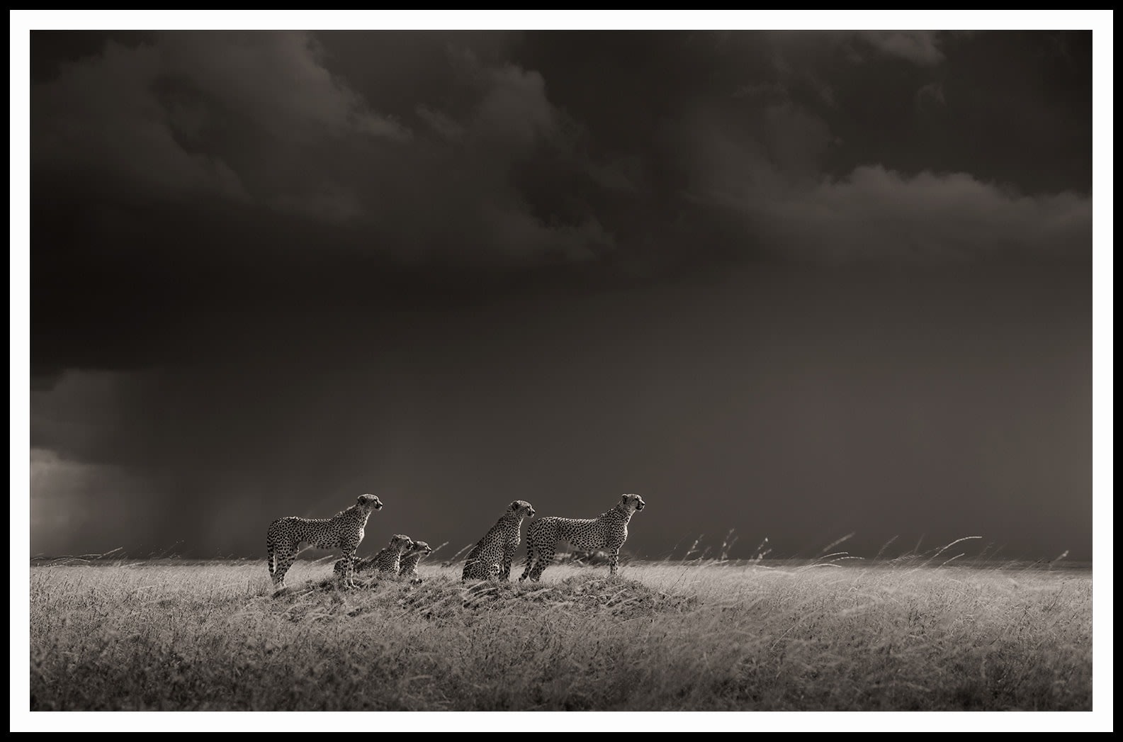 Joachim Schmeisser, Thunderroad II, 2023