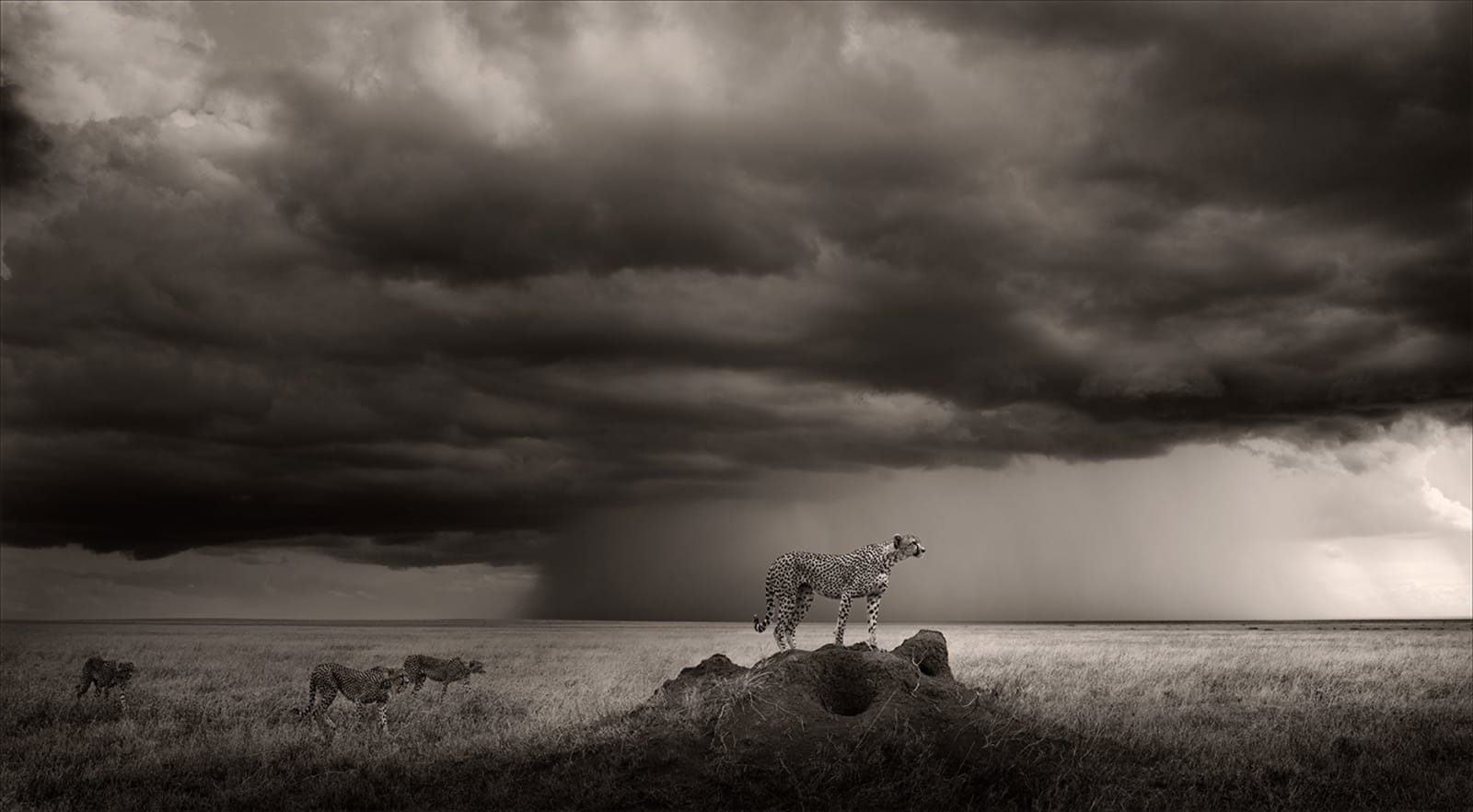 Joachim Schmeisser, Thunderroad, 2023