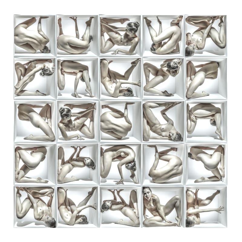 Jeff Robb, Unnatural Causes #15, 2013