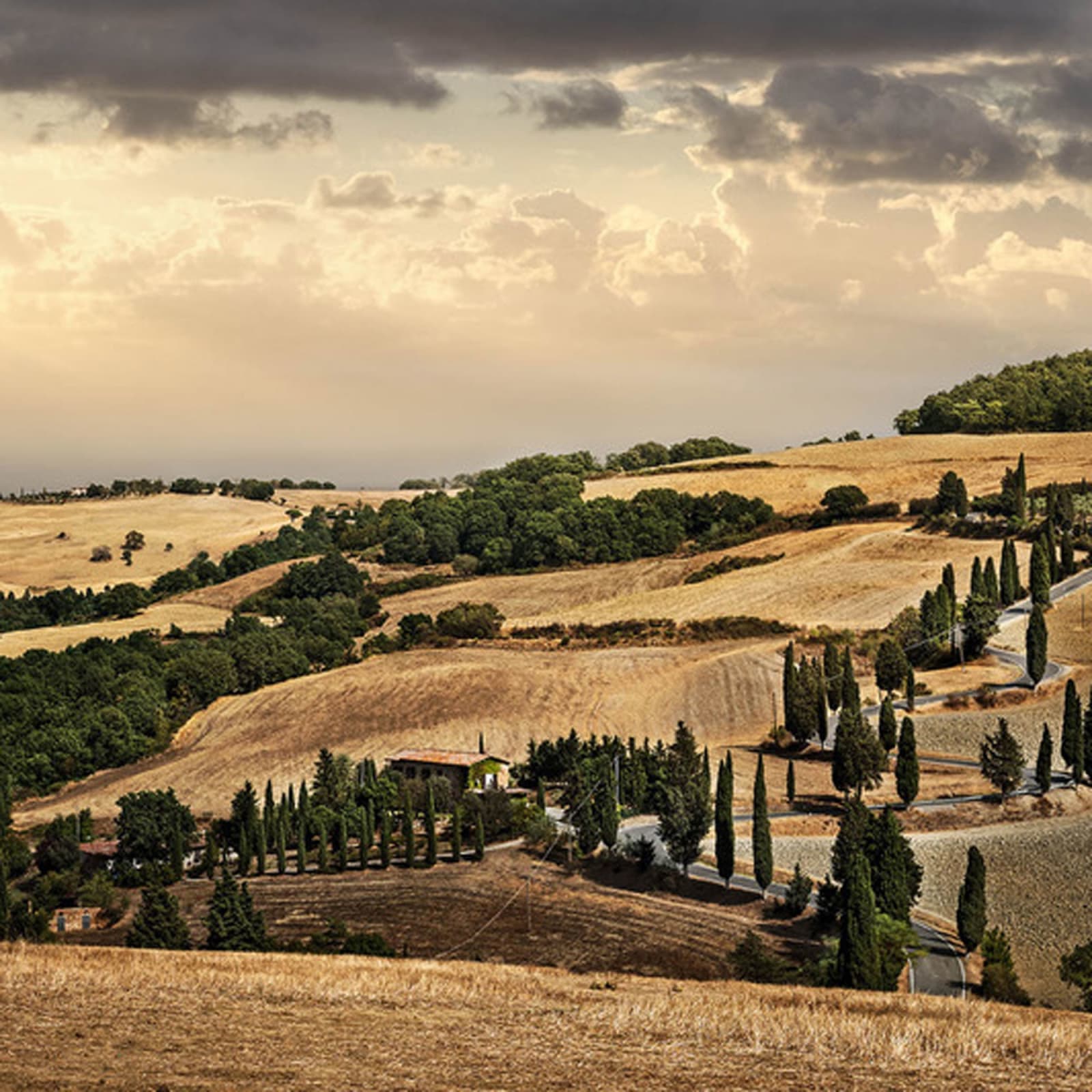 David Drebin, Tuscan Dream, 2021