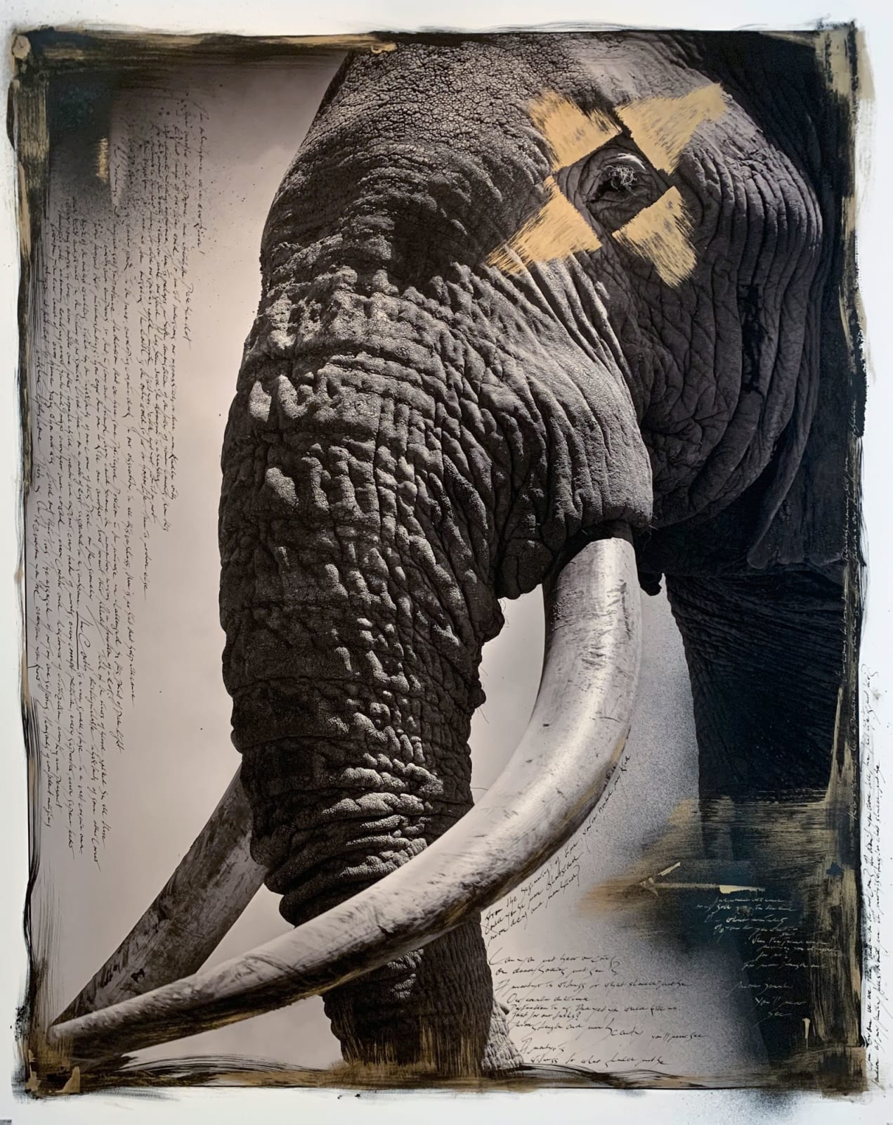 Joachim Schmeisser, Eye to Eye, 2020