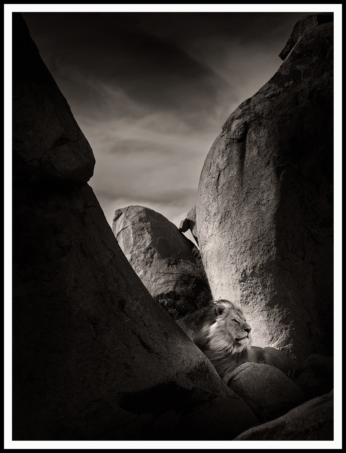 Joachim Schmeisser, Lion Rock II, 2022