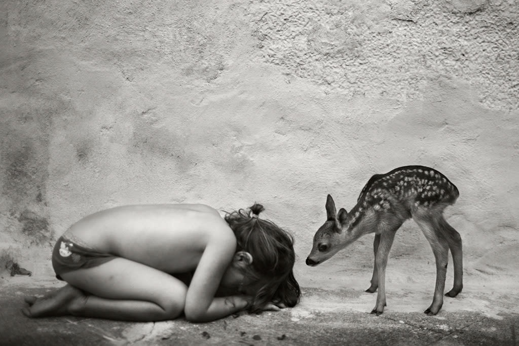 Alain Laboile, Lili, 2013
