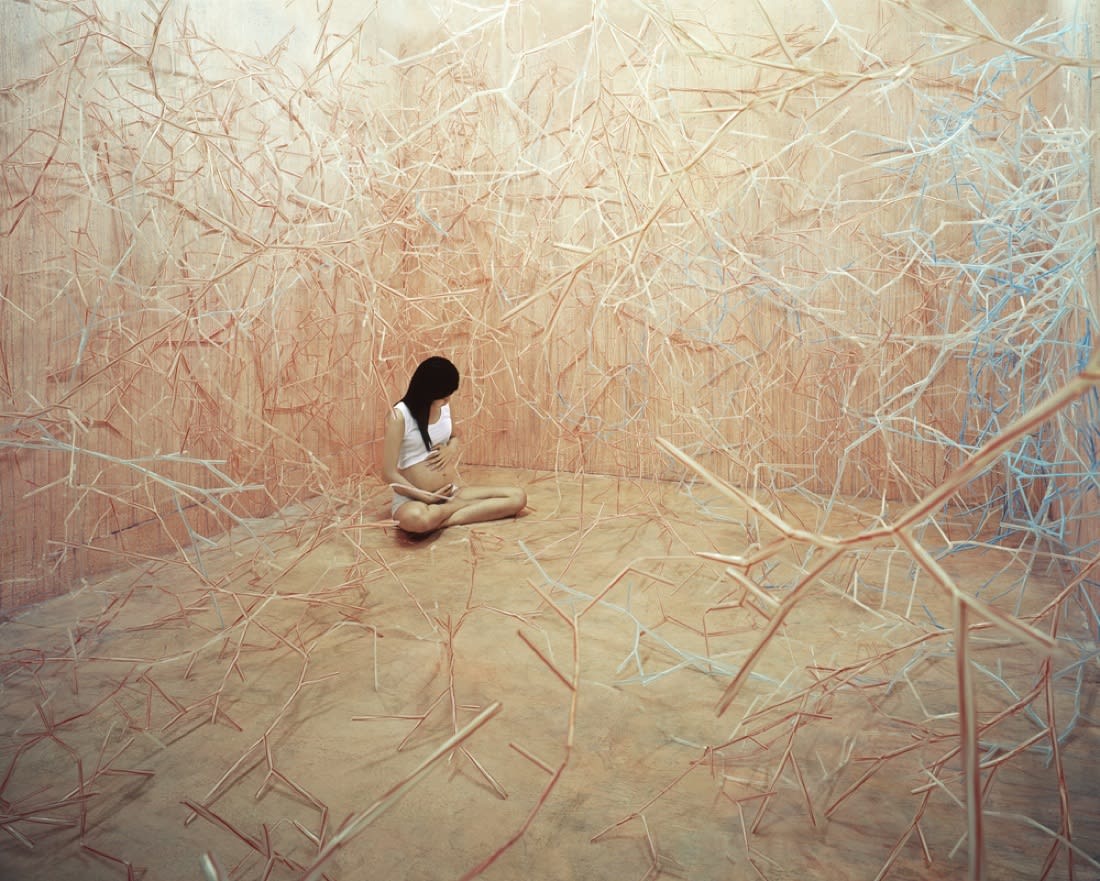 JeeYoung Lee, Foodchain, 2008