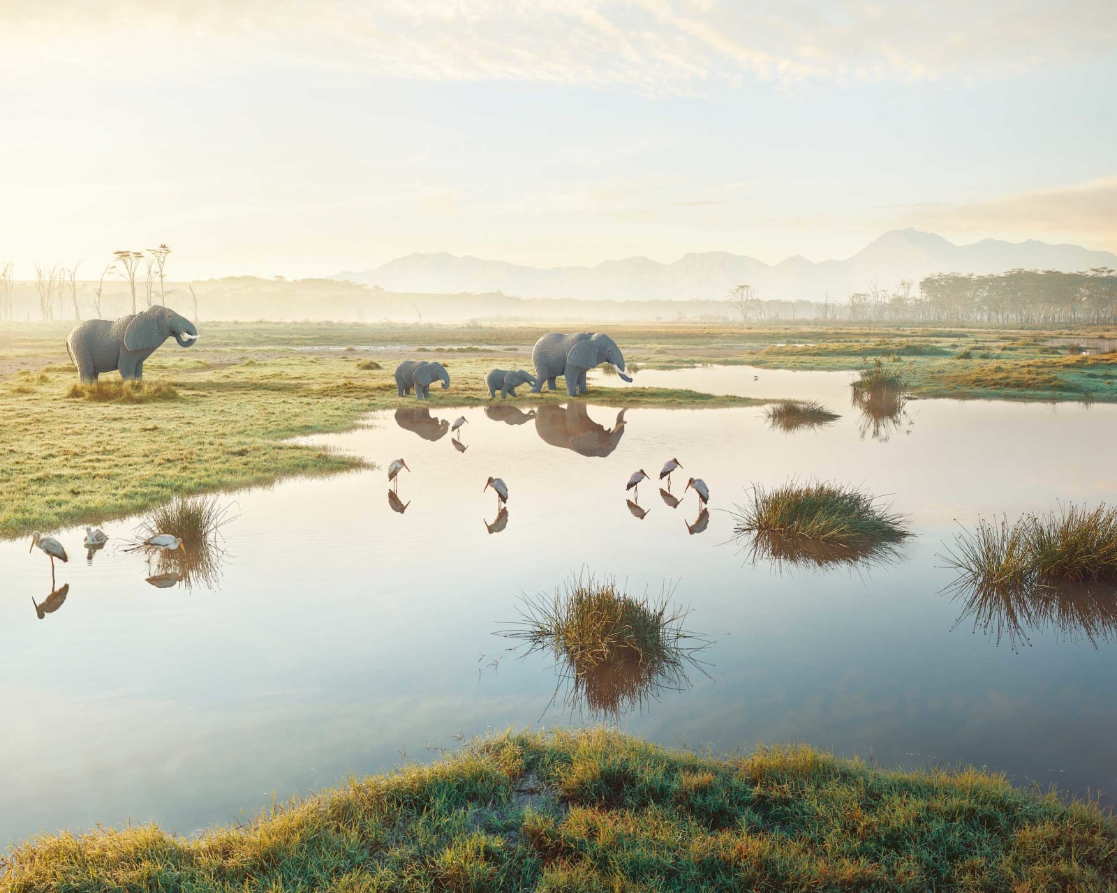 Dean West & Nathan Sawaya, African Elephant, 2019