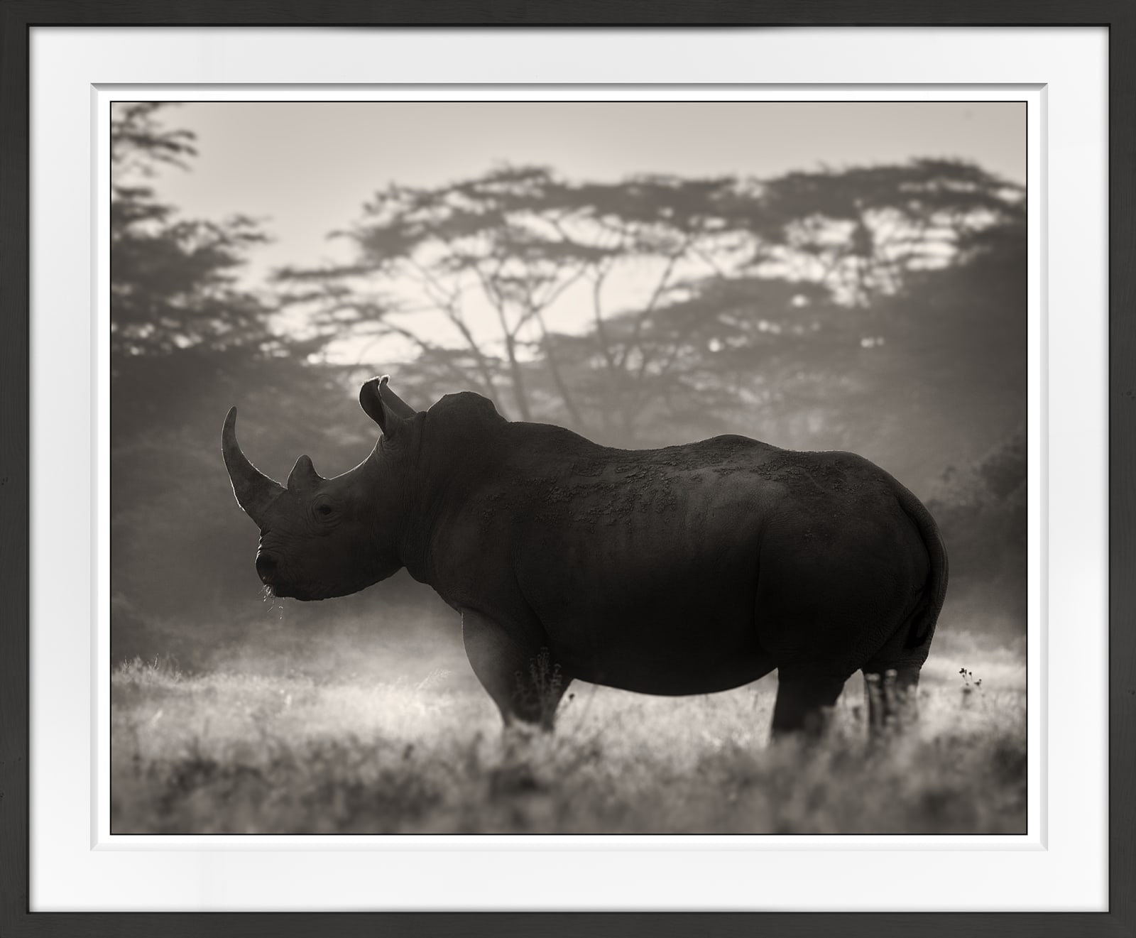 Joachim Schmeisser, Cut in Stone, 2019