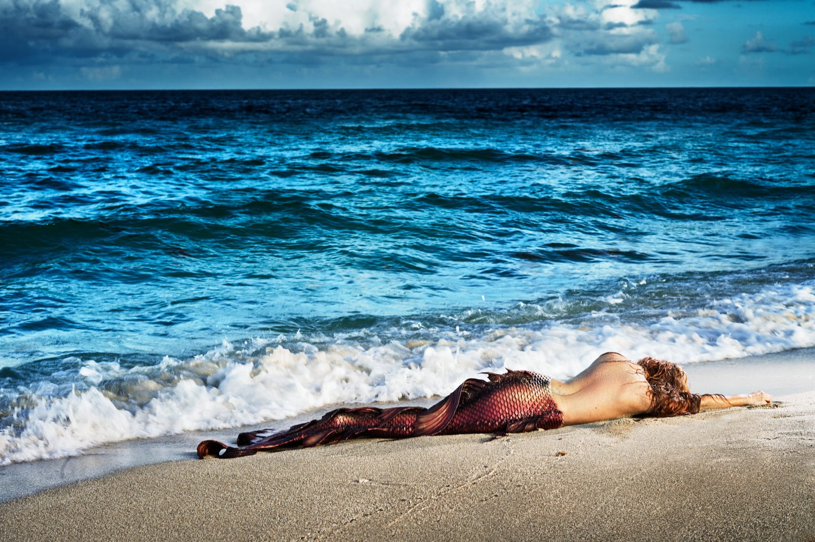 David Drebin, Mermaid in Paradise, 2015