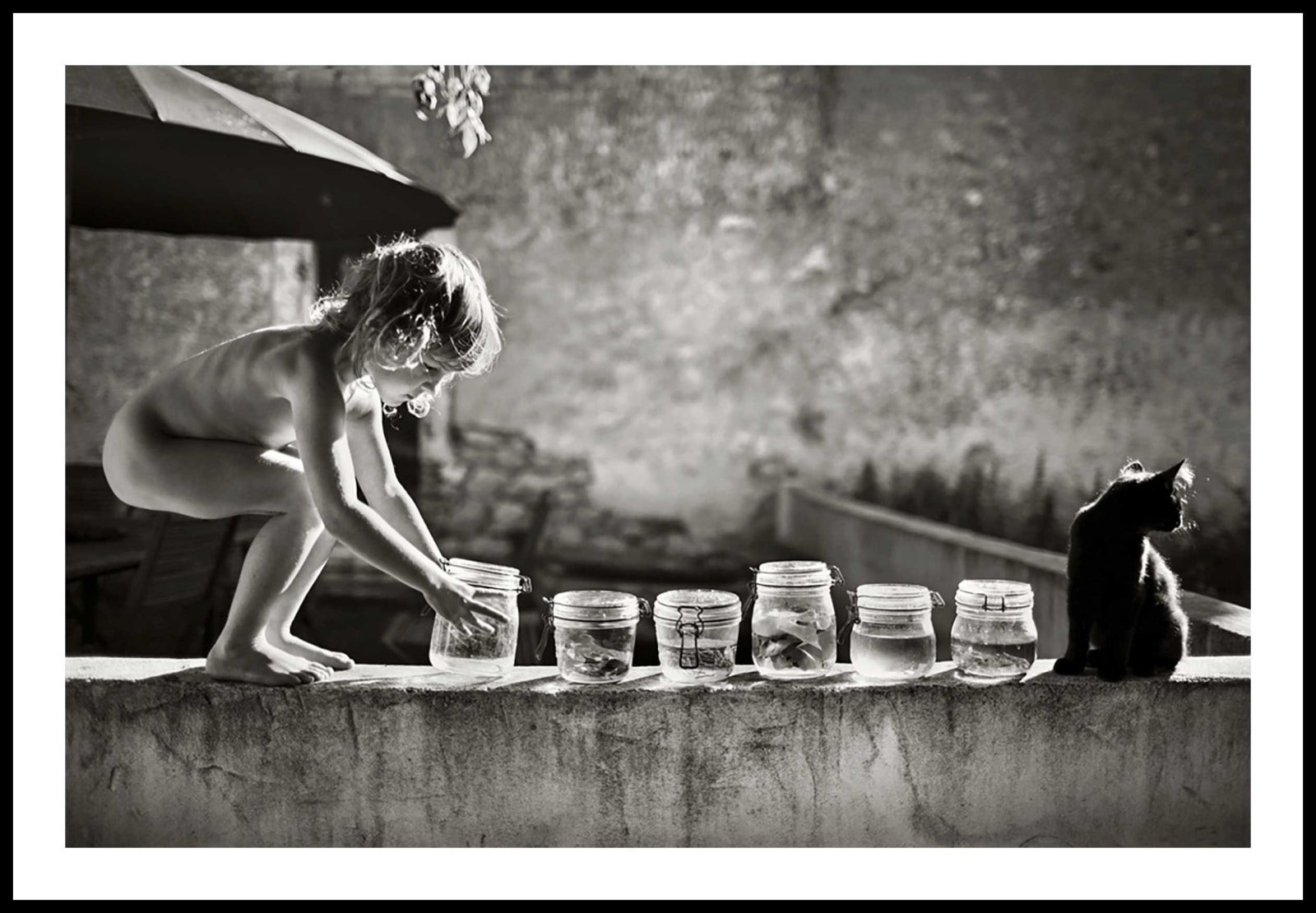 Alain Laboile, Les Bocaux, 2012
