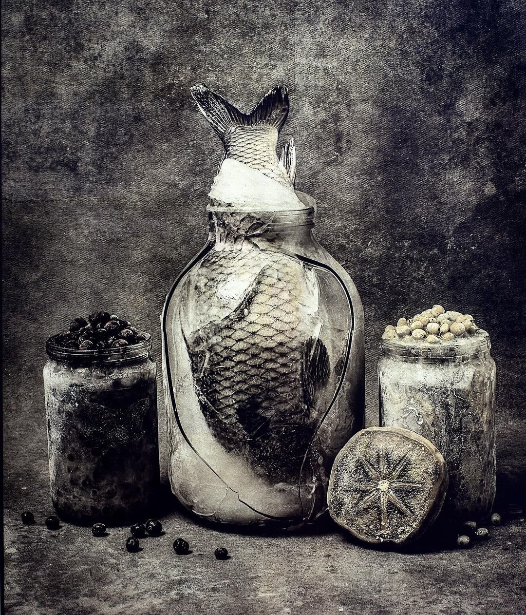Jan C. Schlegel, Still Life with Fish and Berries, 2024