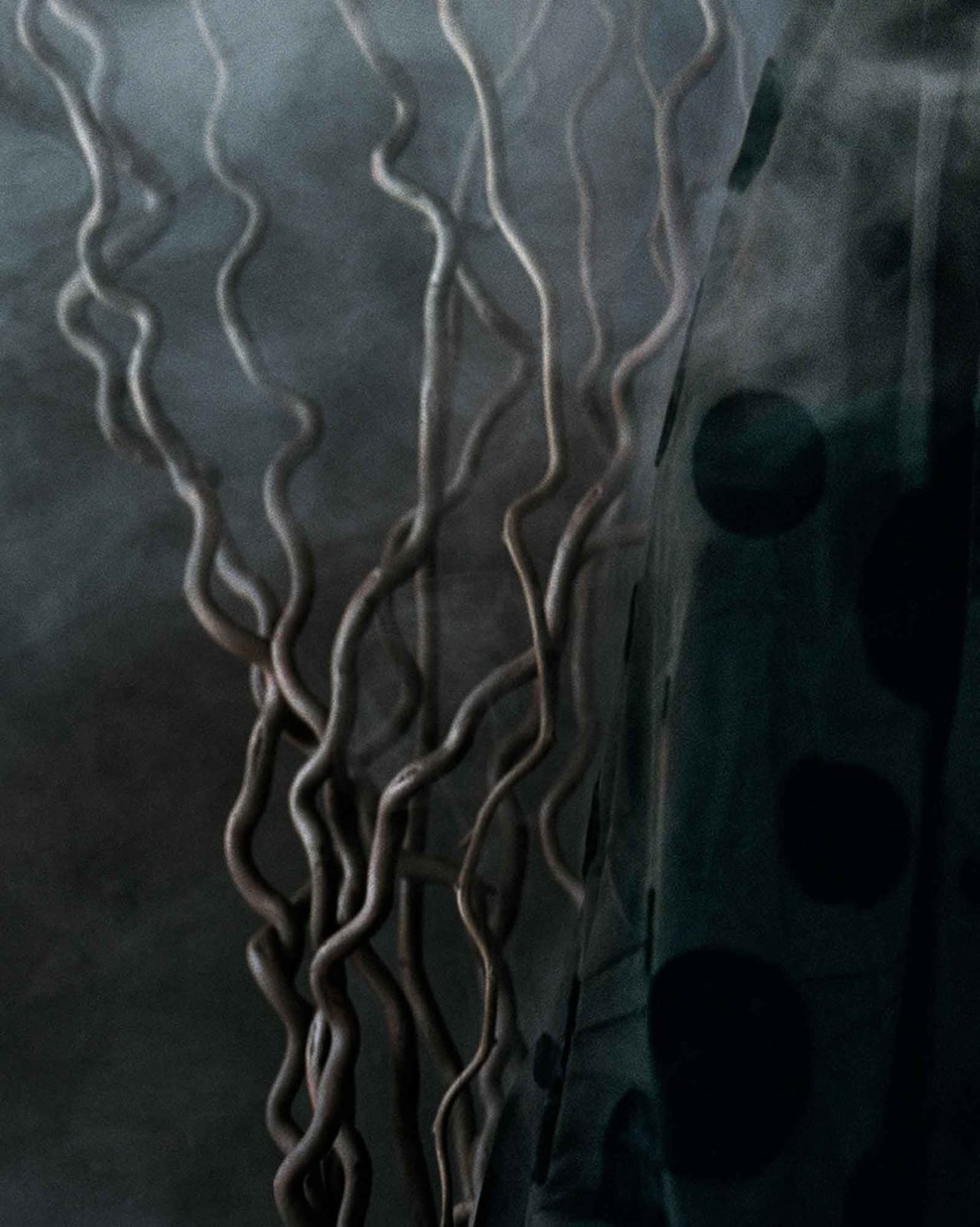 Vee Speers, Untitled #8, 2020