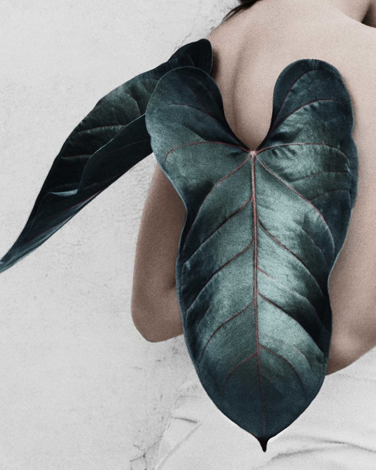 Vee Speers, Untitled #11, 2012