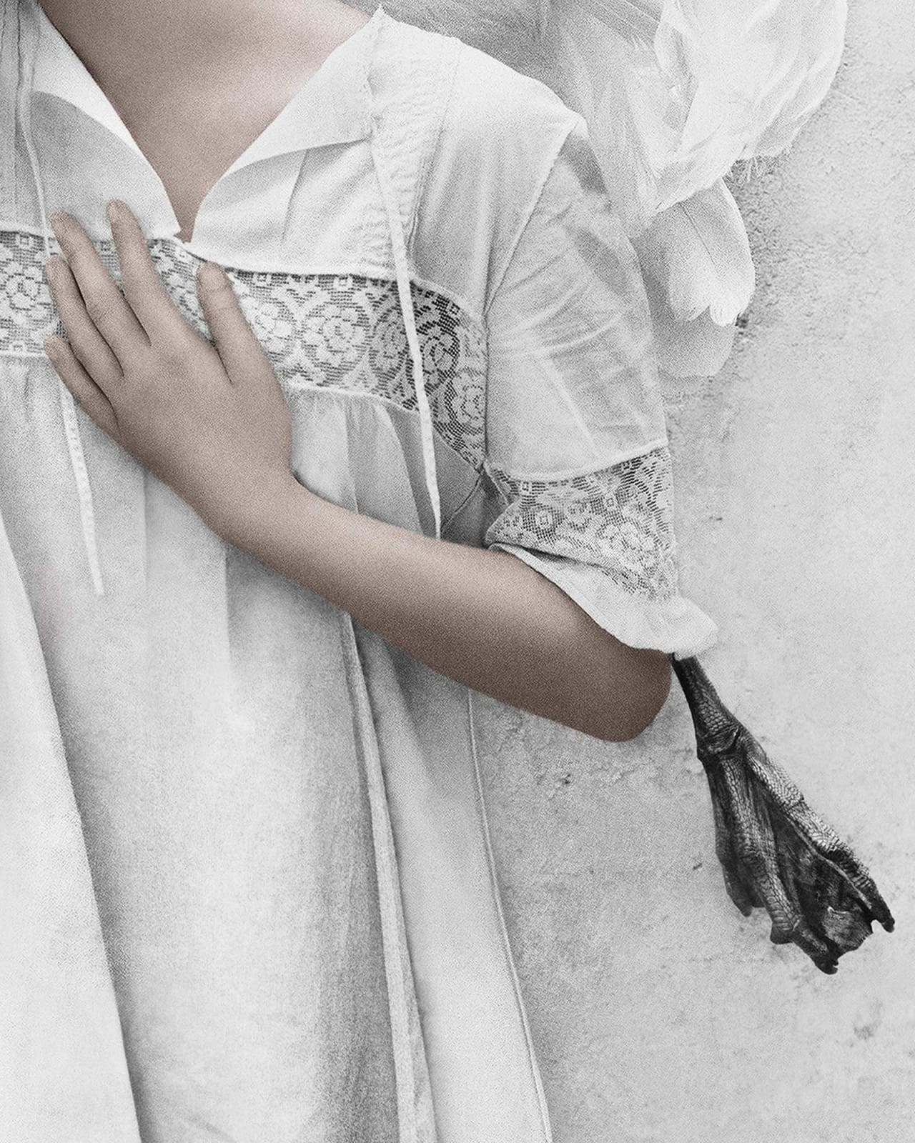 Vee Speers, Untitled #12, 2012