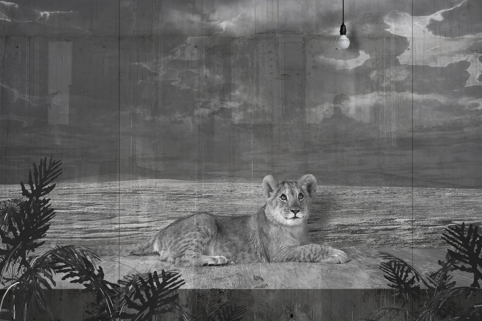 Jan Gulfoss, Lionceau devant une vitrine et Ampoule, c. 2013-2016