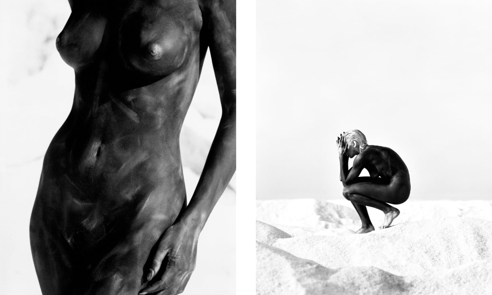 Marc Lagrange, Torso, diptych, 1994