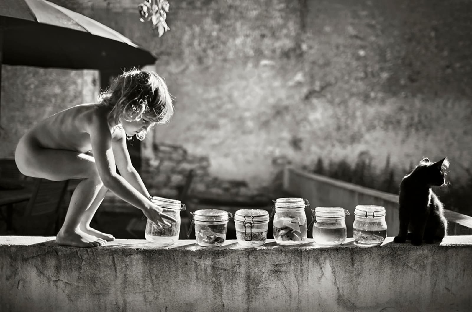 Alain Laboile, Les Bocaux, 2012