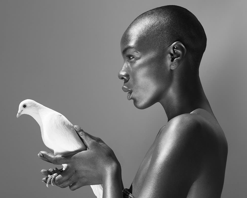 Sylvie Blum, The Pigeon, 2017