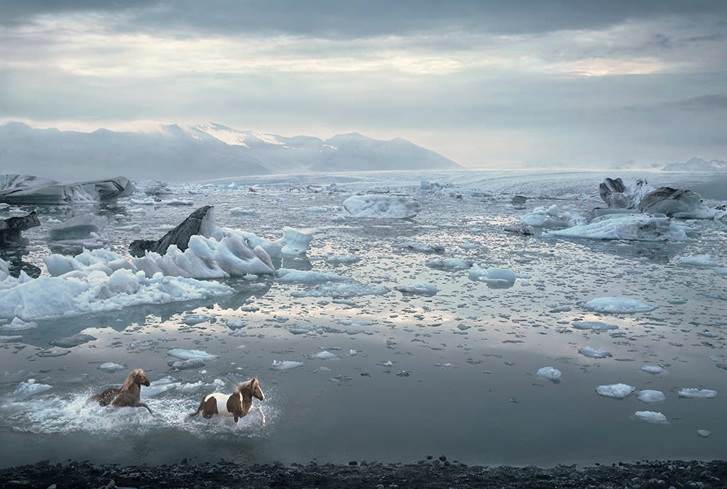 Tim Flach, Icelandic Lagoon, 2008