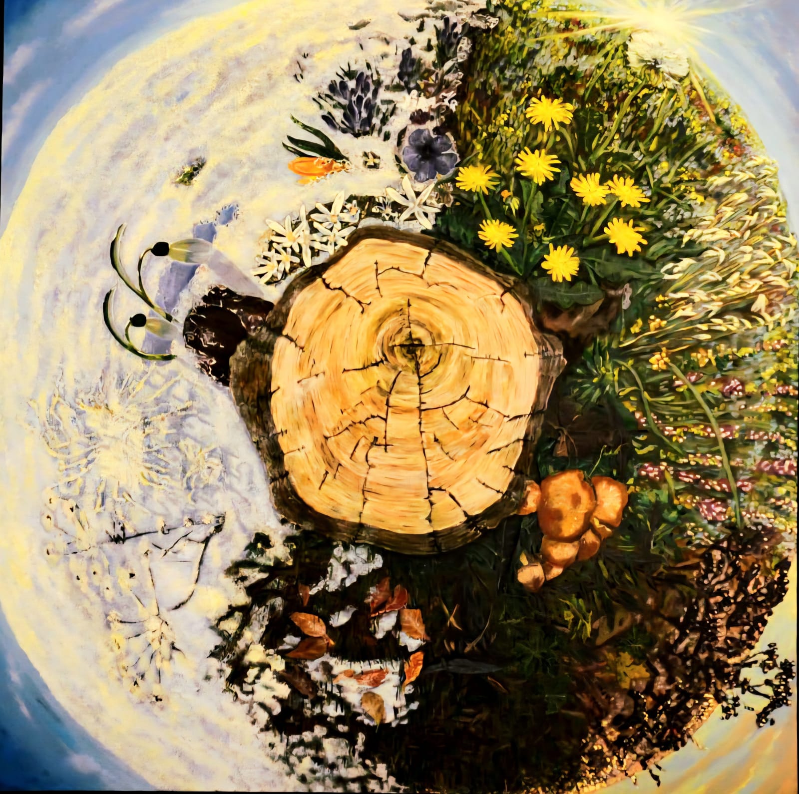 Nina Krylova, 365 Days in a Life of a Tree Stump