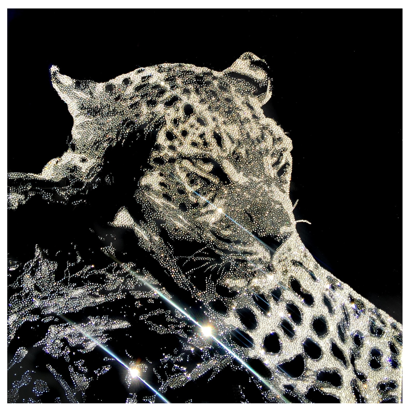 Roberta Diazzi, Thoughtful Leopard, 2017